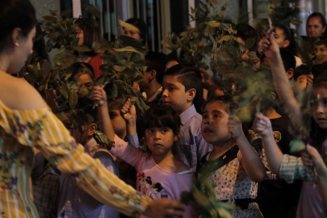Comunidades del Camino Neocatecumenal de la Catedral de Xalapa realizaron su procesión de las palmas, con la que recuerdan la entrada de Jesucristo a Jerusalem. El día de mañana domingo, el rito se repetirá en las iglesias y se bendecirán las palmas.