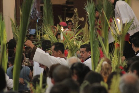 Durante su homilía dominical, el Arzobispo de Xalapa, Hipólito Reyes, invitó a los feligreses a trabajar por los demás y a ayudarse los unos a otros. Como corresponde a la fe católica, este día, con la bendición de los ramos, dio inicio la Semana Santa.