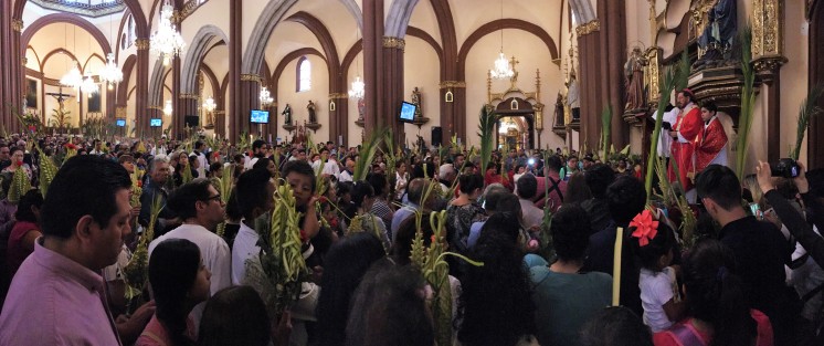 Domingo de Ramos en la Catedral de Xalapa. 
