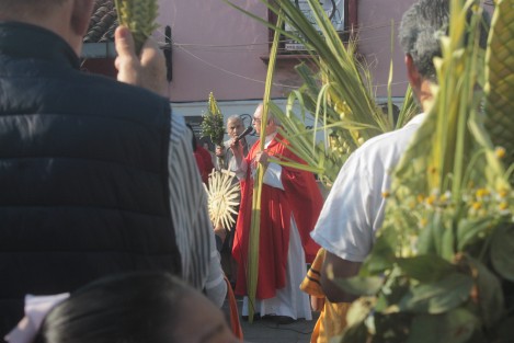 Domingo de Ramos en la parroquia de San José en Xalapa.