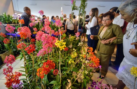 Más de 50 expositores locales y de otros estados ofertan sus flores y productos relacionados con estas hasta el 31 de abril. 