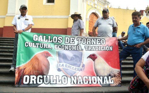 El presidente de la Comisión Mexicana de Promoción GallÍstica, Efraín Rábago Echegoyen, y varios miembros de asociones de este rubro, se concentraron en plaza Lerdo  en espera de una audiencia que tenían con gente de gobierno donde pedirían que la actividad gallera recupere su legalidad.  