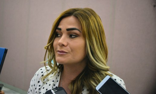 La diputada María José Torales dijo que desde ya debe de haber una coordinación entre todos los poderes de gobierno y que le parece increíble que se siga culpando al fiscal de todo.  