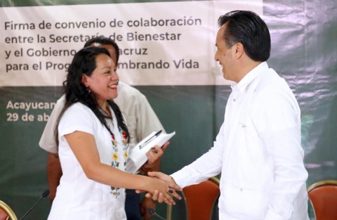 El Gobierno de Veracruz y la Secretaría de Bienestar firmaron el Convenio General de Colaboración para que la entidad sea proveedora de plantas maderables, frutales y de cultivo, a través de siete viveros establecidos en los municipios de Xalapa, Tuxpan, Paso de Ovejas, Catemaco, San Juan Evangelista, Mariano Escobedo y Soteapan, para el presente año, como parte del programa 