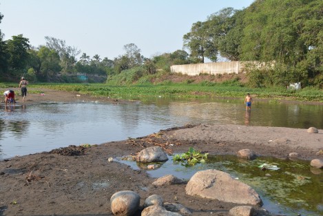 A causa del estiaje 2019, existe la disminución en un 27 por ciento del caudal del río Jamapa, mismo que aporta el 45 por ciento del abastecimiento del agua a los municipios de Veracruz, Medellín de Bravo y Boca del Río.  