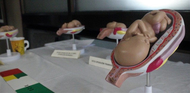 En el Congreso del Estado se llevó a cabo el Simposium Por la Vida, La Familia y Las Libertades Individuales, acompañado por exposiciones alusivas al tema.