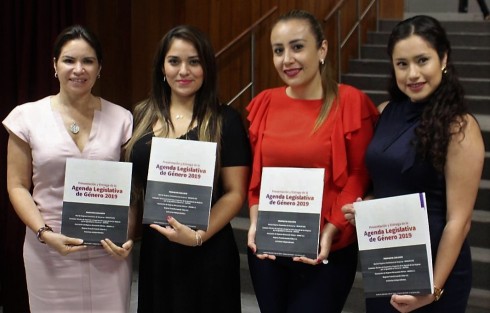 Con el objetivo de marcar los temas prioritarios en materia de igualdad de género y contribuir al trabajo de la LXV Legislatura del Estado, para que sea referente en materia de derechos humanos en las mujeres veracruzanas; fue elaborada, con la participación de organizaciones de la sociedad civil, colectivos, y mujeres independientes, la Agenda Legislativa de Género 2019. 
