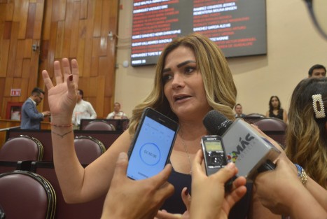 La diputada local Maryjose Gamboa Torales, afirmó que presentarán una denuncia ante las instancias correspondientes, por la compra y arrendamiento de 160 patrullas para la Secretaría de Seguridad Pública.  