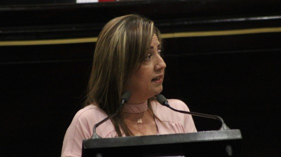 Aspectos de la Tercera Sesión Ordinaria del segundo periodo de sesiones. 