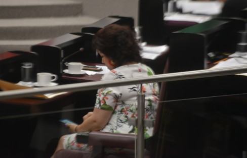 Durante la sesión la mayoría de los legisladores prefieren distraerse con el celular ya que la mayoría se les dificulta leer en tribuna. 
