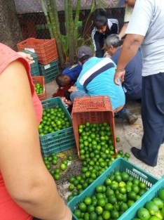 Al menos dos personas habrían muerto en una riña  en Tuzamapan, municipio de Coatepec; reportes preliminares indican entre 6 y 8 heridos por arma de fuego‬. Los hechos se habrían suscitado en el interior de una cantina llamada El Rufles. 