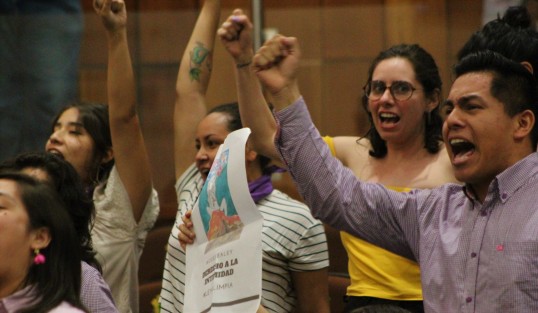 Grupos de manifestantes en contra de algunos tipos de pornografía digital. 
