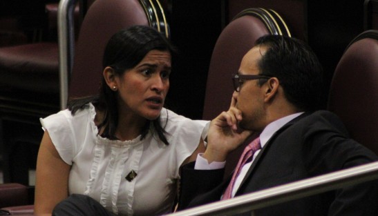 Aspectos de la quinta sesión del pleno del Congreso de Veracruz. 