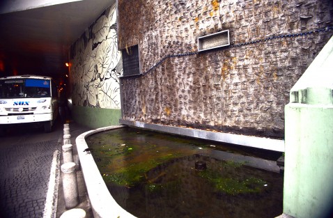 Abandonado y sucio lucen la jardinera y el nacimiento de agua que se encuentran en la salida del viaducto, al parecer  todo lo que sea de las administraciones pasadas  será dejado en el abandono.
