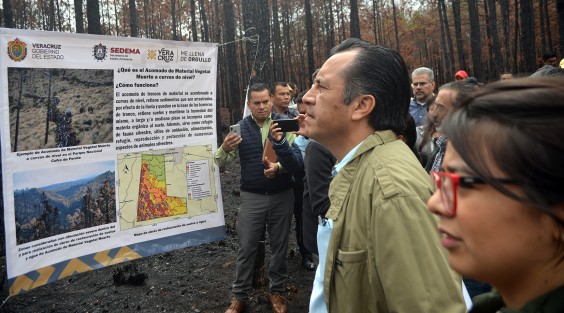  El gobernador Cuitláhuac García Jiménez celebró el Día Mundial del Medio Ambiente recorriendo la reserva ecológica de San Juan del Monte, ubicada en el parque nacional Cofre de Perote, la cual resultó seriamente afectada en los pasados incendios del mes de marzo.  