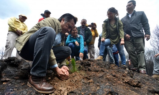 En el marco del Día Mundial del Medio Ambiente, el gobernador Cuitláhuac García Jiménez se comprometió a recuperar el Área Verde Reservada para la Educación Ecológica de San Juan del Monte, afectada por los incendios.