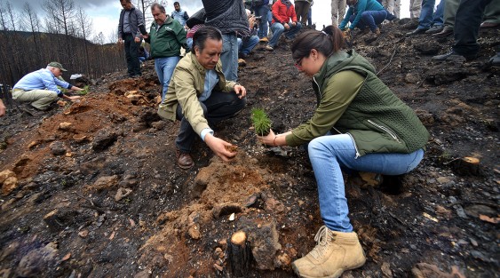 En el marco del Día Mundial del Medio Ambiente, el gobernador Cuitláhuac García Jiménez se comprometió a recuperar el Área Verde Reservada para la Educación Ecológica de San Juan del Monte, afectada por los incendios.