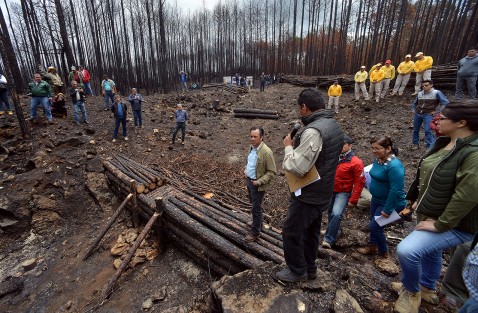 En el marco del Día Mundial del Medio Ambiente, el gobernador Cuitláhuac García Jiménez se comprometió a recuperar el Área Verde Reservada para la Educación Ecológica de San Juan del Monte, afectada por los incendios.