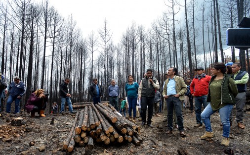 En el marco del Día Mundial del Medio Ambiente, el gobernador Cuitláhuac García Jiménez se comprometió a recuperar el Área Verde Reservada para la Educación Ecológica de San Juan del Monte, afectada por los incendios.