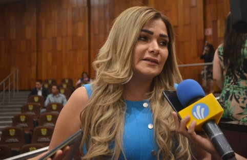 La diputada María Josefina Gamboa Torales dijo que la ONG Artículo 19 está siendo notificada de los constantes casos de burlas o expresiones denigrantes a periodistas veracruzanos, por parte de funcionarios del actual Gobierno del estado.