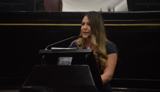 La integrante del Grupo Legislativo del Partido Acción Nacional (PAN), Montserrat Ortega Ruiz, detalló el proceso legislativo y cómo se han logrado avances para la igualdad de género y destacó que con esta reforma constitucional se garantiza a las mujeres y hombres el mismo número de espacios en la vida pública, </em>vamos a pasar de la igualdad forma a la igualdad real</em>.