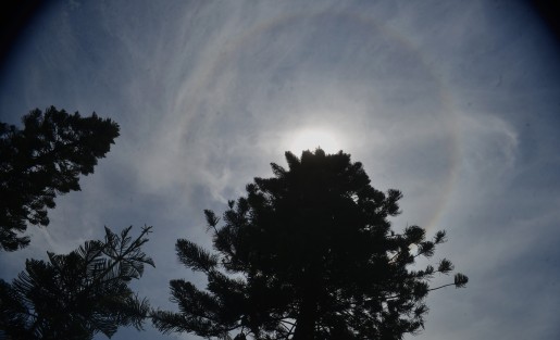 Así se pudo observar el halo solar este mediodía en  Xalapa. 