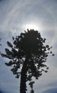 Así se pudo observar el halo solar este mediodía en  Xalapa. 