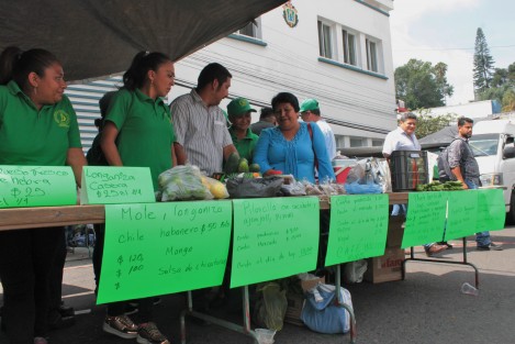 Aseguran que su dirigente entregó la lista de productores aspirantes a los apoyos, sin embargo, el listado les ha sido rechazado argumentando que se trata de productores <em>fantasma</em>,  por lo que decidieron hacer presencia ante las oficinas de la dependencia.