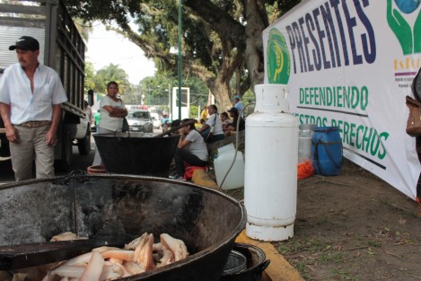Productores de la región afiliados a la UNTA, se manifiestan afuera de las oficinas SEDARPA en Xalapa con venta de productos, en demanda de que sean reconocidos como productores para poder acceder apoyos de los diferentes programas.Lourdes García