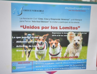 Integrantes de la Asociación Civil Cree, crea y emprende Veracruz, acompañados del albergue de perros Ada azul, invitaron a la población en general a la colecta Unidos por lomitos  para reunir alimentos y artículos  de limpieza para los canes a partir del 15 de junio y hasta el 9 de julio en la escuela Constitución del centro de Xalapa.  
