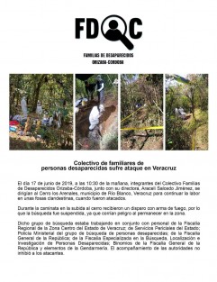Mediante un comunicado el Colectivo de familiares de personas desaparecidas Orizaba-Córdoba, dio a conocer que sufrieron un ataque el día 17 de junio de 2019, a las 10:30 de la mañana, esto cuando integrantes del colectivo junto con su directora, Araceli Salcedo Jiménez, se dirigían al Cerro los Arenales, para continuar la labor de búsqueda en unas fosas clandestinas.