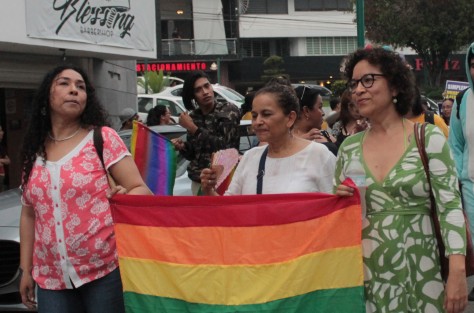 La comunidad LGBTTTI, famliares, amigos y simpatizantes marcharon con la consigna <em>Ame es amoe</em>. 
