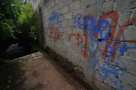 Los vecinos de la cueva refieren que por tardes varios jóvenes se brincan para tomar y fumar  por eso piden a las autoridades pongan mas atención para que el lugar vuelva tener eventos como antes y recobre su magia.