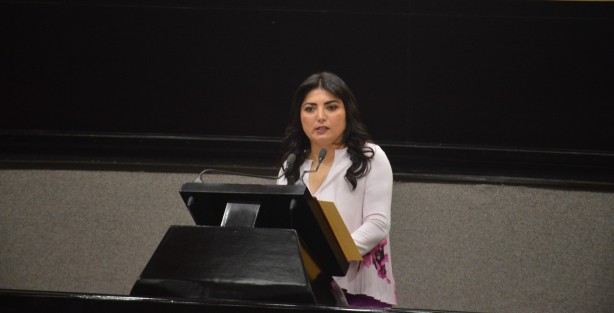A nombre de los integrantes del Grupo Legislativo Mixto PRI-PVEM, la diputada Erika Ayala Ríos, presentó una Iniciativa de Decreto, para que las personas responsables de evaluar el desempeño de los juzgadores tengan los conocimientos y capacidad indispensables para realizar la función encomendada en la Constitución.