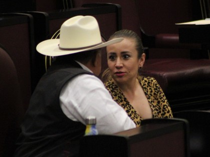 Aspectos de la décima sesión plenaria de la LXV Legislatura de Veracruz.  