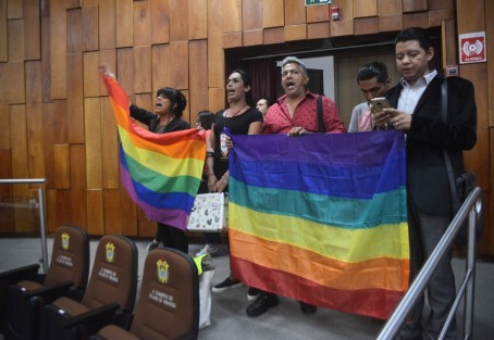 Integrantes de la Comunidad LGBTTTI buscarán que los legisladores de Morena que no apoyen el matrimonio igualitario sean expulsados del partido, así lo informó la presidente de la asociación <em>Soy Humano</em>, Jazz Bustamante. 