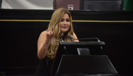 Una larga discusión se dio entre diputados luego de que María Josefina Gamboa Torales subió a tribuna a exigir obras para el municipio de Veracruz.