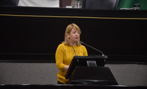 La diputada María de Jesús Martínez Díaz, integrante del Grupo Legislativo del Partido Acción Nacional, presentó una Iniciativa para suprimir edición impresa de la Gaceta Oficial. Refirió que recientemente, la Federación suprimió la impresión del Diario Oficial de la Federación. La medida reduce el impacto ambiental que conlleva la impresión.