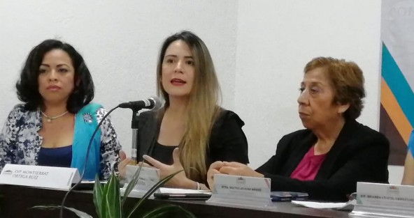 En conferencia, las diputadas Cristina Alarcón Gutiérrez, Brianda Kristel Hernández Topete y Montserrat Ortega Ruiz, anunciaron la realización del foro de Análisis y consulta <em>A un año de la ley TEA, avanzamos hacia el reglamento</em>.