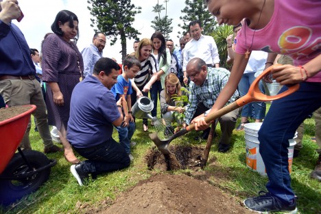 Conforme al anteproyecto de punto de acuerdo presentado por el diputado Wenceslao González Martínez, fueron sembrados en los jardines del Palacio Legislativo, ejemplares de árboles nativos de la región, a conmemorarse el Día del Árbol.  Lo que sobró, fue voluntarios para regar.   