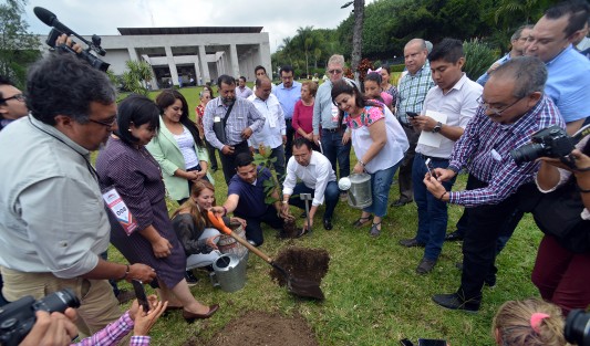 Conforme al anteproyecto de punto de acuerdo presentado por el diputado Wenceslao González Martínez, fueron sembrados en los jardines del Palacio Legislativo, ejemplares de árboles nativos de la región, a conmemorarse el Día del Árbol.  Lo que sobró, fue voluntarios para regar.   