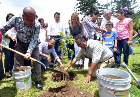 Conforme al anteproyecto de punto de acuerdo presentado por el diputado Wenceslao González Martínez, fueron sembrados en los jardines del Palacio Legislativo, ejemplares de árboles nativos de la región, a conmemorarse el Día del Árbol.  Lo que sobró, fue voluntarios para regar.   