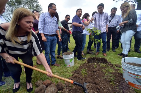 En el marco del Día del Árbol (celebrado en México el segundo jueves del mes de julio), el diputado Wenceslao González Martínez en seguimiento a su Anteproyecto de Punto de Acuerdo, presentado el pasado 9 de julio ante el Pleno de la LXV Legislatura, relativo al cuidado del medio ambiente y así promover acciones que contribuyan a combatir el cambio climático, plantó cinco árboles de especies originarias de la región, en el jardín del Congreso del Estado.