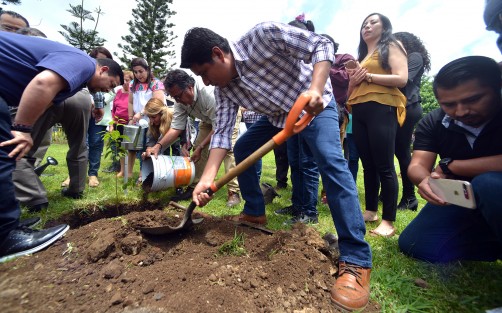 En el marco del Día del Árbol (celebrado en México el segundo jueves del mes de julio), el diputado Wenceslao González Martínez en seguimiento a su Anteproyecto de Punto de Acuerdo, presentado el pasado 9 de julio ante el Pleno de la LXV Legislatura, relativo al cuidado del medio ambiente y así promover acciones que contribuyan a combatir el cambio climático, plantó cinco árboles de especies originarias de la región, en el jardín del Congreso del Estado. 