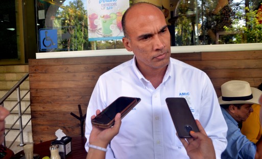  Francisco Germán Revilla Aguilera, presidente de la Delegación en el Puerto de Veracruz de la Asociación Mexicana de la Industria de la Construcción (AMIC), señaló que han tenido que despedir a personal dentro del ramo de la construcción por la falta de proyectos por parte del Gobierno estatal.  