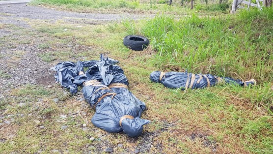 Los cuerpos no identificados de tres jóvenes del sexo masculino fueron hallados en la localidad de Palma Sola, municipio de Actopan, a  un costado de la carretera federal 180 Poza Rica - Veracruz, tramo Cardel, a la altura del kilómetro 157+400 con dirección a Poza Rica, estaban cubiertos con bolsas negras maniatados. 