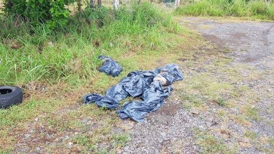 Los cuerpos no identificados de tres jóvenes del sexo masculino fueron hallados en la localidad de Palma Sola, municipio de Actopan, a  un costado de la carretera federal 180 Poza Rica - Veracruz, tramo Cardel, a la altura del kilómetro 157+400 con dirección a Poza Rica, estaban cubiertos con bolsas negras maniatados. 
