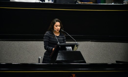 Actividad legislativa durante la Décimo tercera Sesión Ordinaria del Segundo Período de Sesiones Ordinarias, Primer Año de Ejercicio Constitucional.  