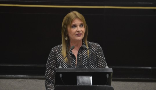 El Grupo Legislativo de Morena, presentó a través de la diputada María Candelas Francisco Doce, una Iniciativa con proyecto  de decreto por el que se reforman diversas disposiciones de la Ley para la Igualdad entre Mujeres y Hombres para el estado de Veracruz, la cual pretende la obligación de igualar salarios en todos los ámbitos laborales, ya sean públicos o privados, sin desventajas o discriminación.
