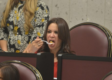 Actividad legislativa durante la Décimo tercera Sesión Ordinaria del Segundo Período de Sesiones Ordinarias, Primer Año de Ejercicio Constitucional.   